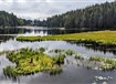 Česká republika - Šumava a Bavorský les: přírodní království Čech a Německa  