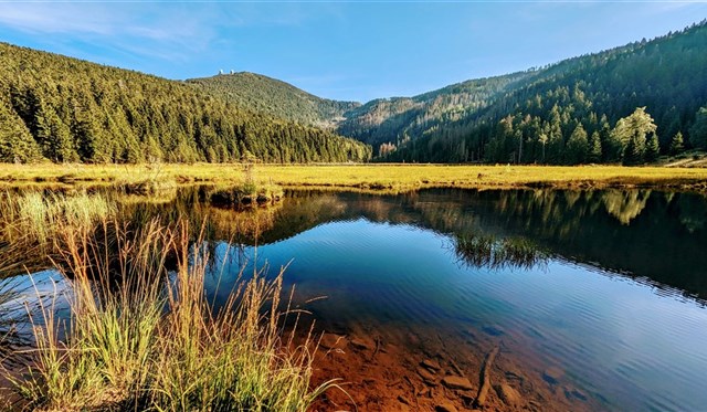 Česká republika - Šumava a Bavorský les: přírodní království Čech a Německa  