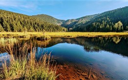 Šumava a Bavorský les: přírodní království Čech a Německa - 